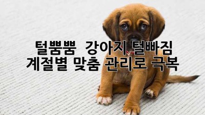 🐶 털뿜뿜? 🙅‍♀️ 강아지 털빠짐, 계절별 맞춤 관리로 극복! 🐾