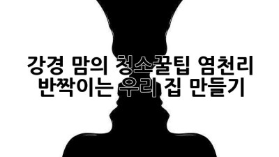 강경 맘의 청소꿀팁🍯: 염천리 ✨반짝이는✨ 우리 집 만들기