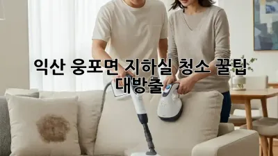 익산 웅포면 지하실 청소🧹 꿀팁 대방출! ✨