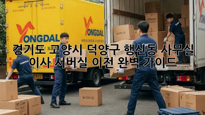 경기도 고양시 덕양구 행신동 사무실 이사 서버실 이전 완벽 가이드! 🏢🚀